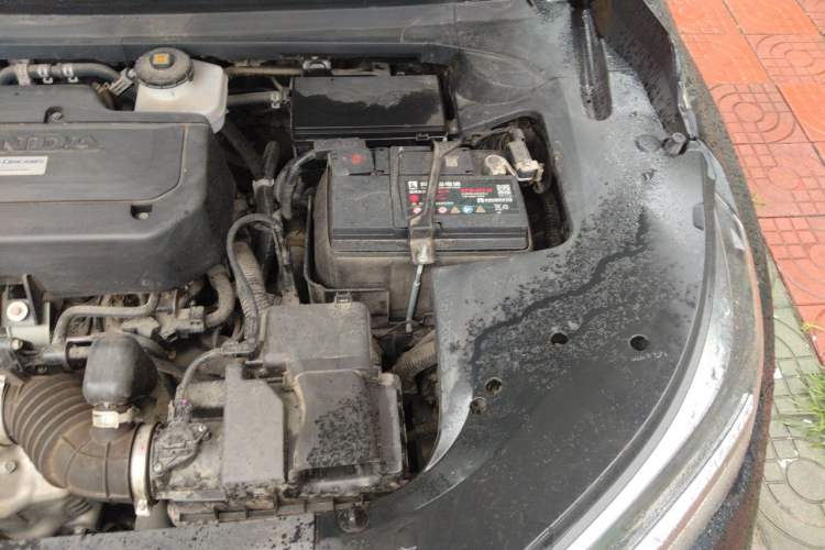 Used Honda Avancier 2020 240TURBO Front-Wheel Drive Smart Edition Engine Bay Left