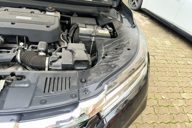 Used Honda Avancier 2020 240TURBO Front-Wheel Drive Smart Edition Engine Bay Left