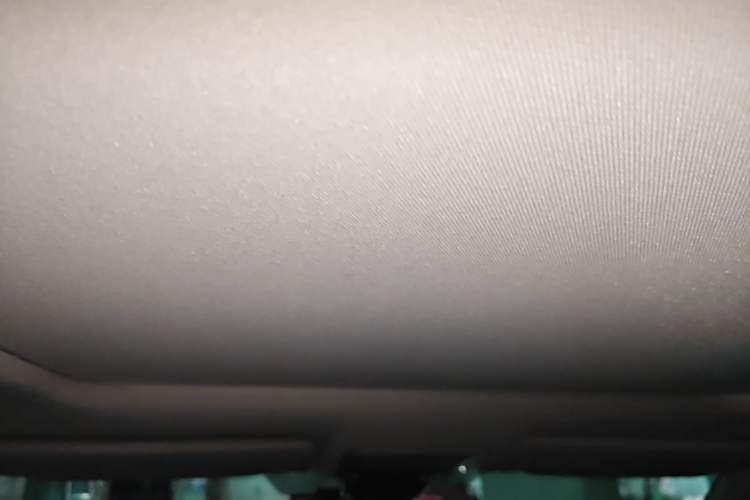 Used Honda Avancier 2020 370TURBO Two-Wheel Drive Luxury Edition Headliner