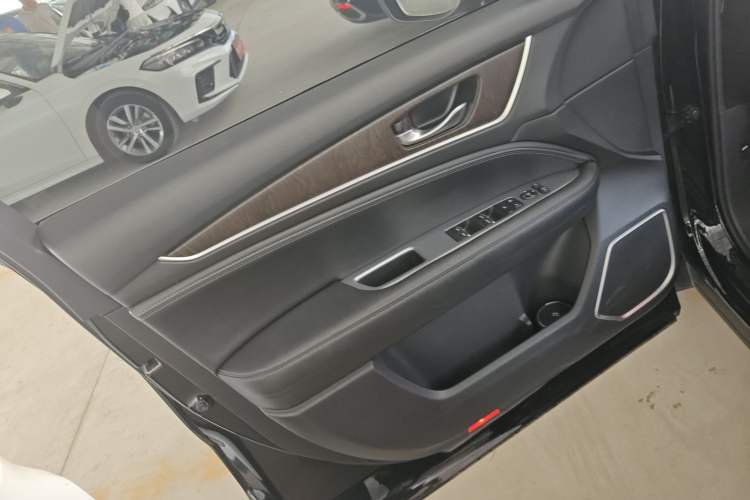 Used Honda Avancier 2020 240TURBO Two-Wheel Drive Comfort Edition Left Front Door Interior