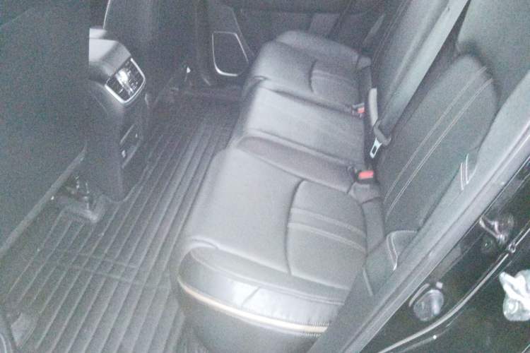 Used Honda Avancier 2020 240TURBO Two-Wheel Drive Comfort Edition Left Rear Seat