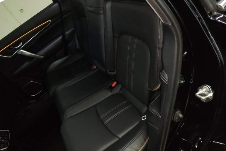 Used Honda Avancier 2020 370TURBO Two-Wheel Drive Luxury Edition Left Rear Seat