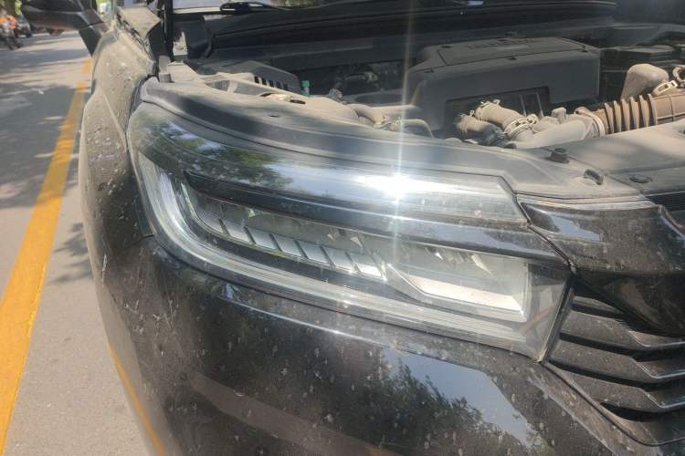 Used Honda Avancier 2020 240TURBO Front-Wheel Drive Smart Edition Right Front Headlight