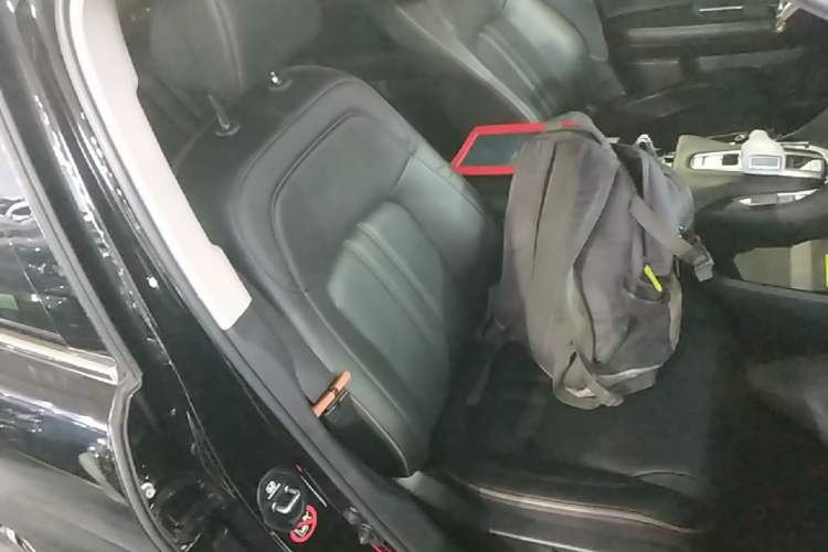 Used Honda Avancier 2020 370TURBO Four-Wheel Drive Premium Edition Right Front Seat