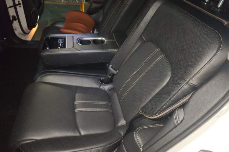 Used Honda Avancier 2020 370TURBO Four-Wheel Drive Supreme Edition Two-Tone Left Rear Seat
