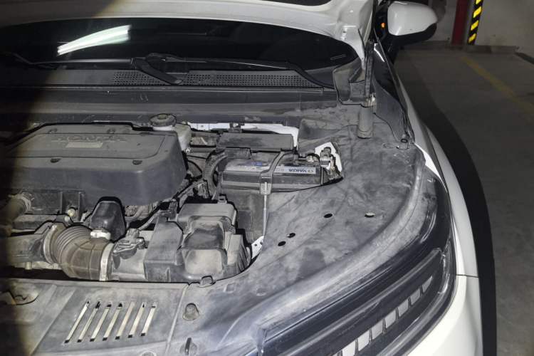 Used Honda Avancier 2020 240TURBO Front-Wheel Drive Smart Edition Engine Bay Left