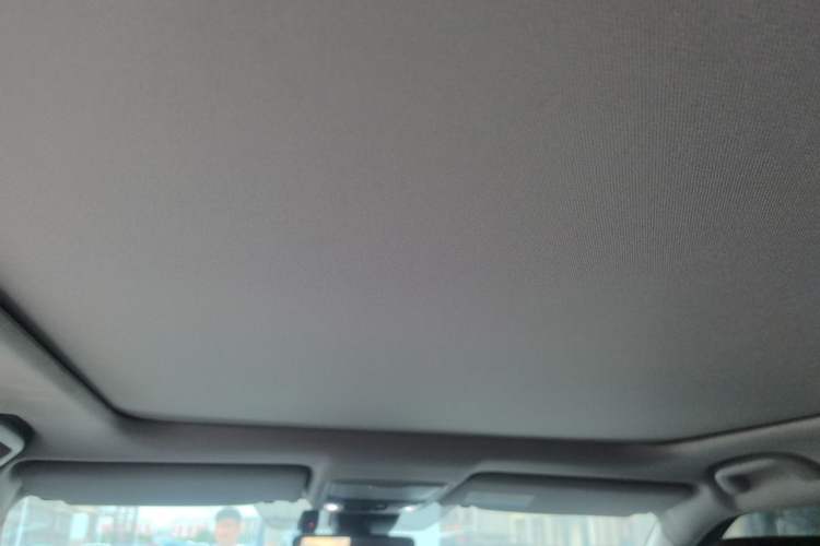 Used Honda Avancier 2020 370TURBO Four-Wheel Drive Premium Edition Headliner