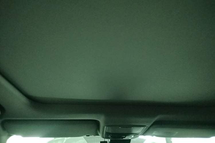Used Honda Avancier 2020 370TURBO Two-Wheel Drive Luxury Edition Headliner
