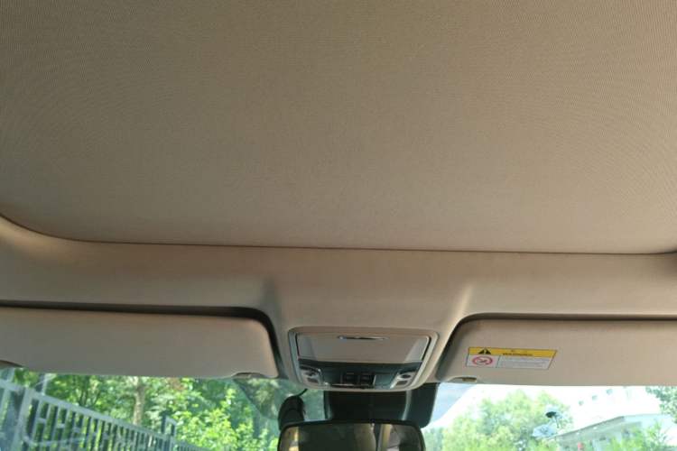 Used Honda Avancier 2020 370TURBO Four-Wheel Drive Supreme Edition Headliner