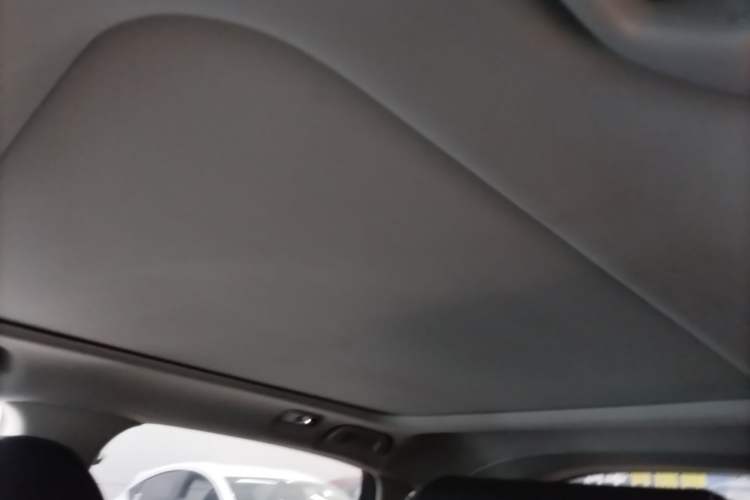Used Honda Avancier 2020 370TURBO Four-Wheel Drive Premium Edition Headliner