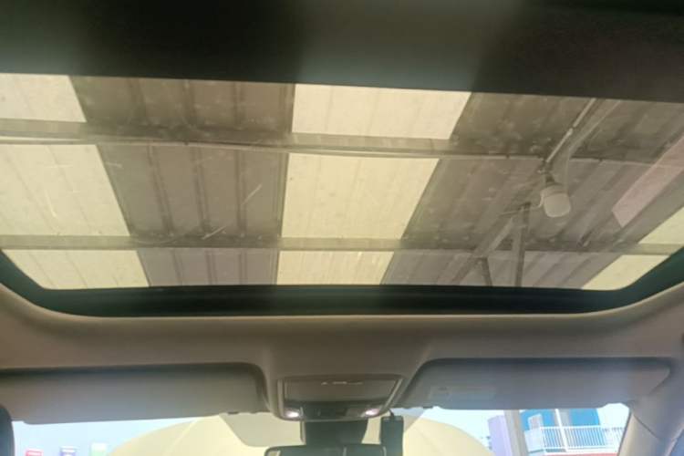 Used Honda Avancier 2020 370TURBO Two-Wheel Drive Luxury Edition Headliner