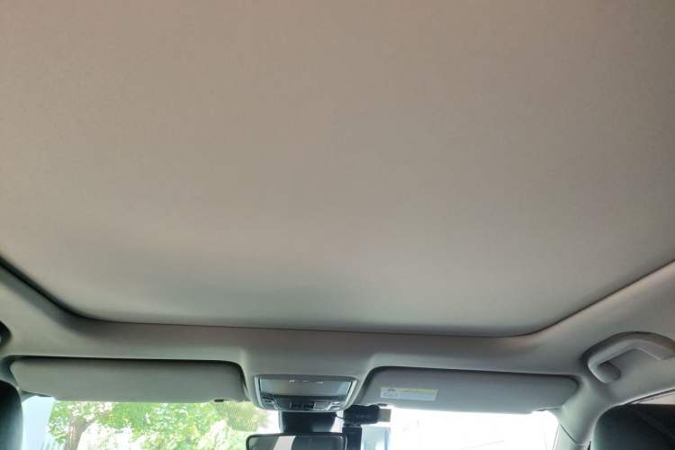 Used Honda Avancier 2020 370TURBO Two-Wheel Drive Luxury Edition Headliner