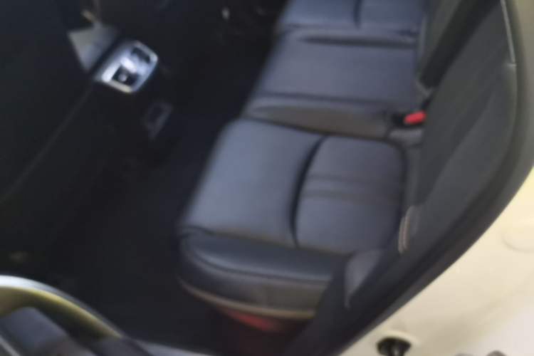 Used Honda Avancier 2020 370TURBO Four-Wheel Drive Premium Edition Left Rear Seat