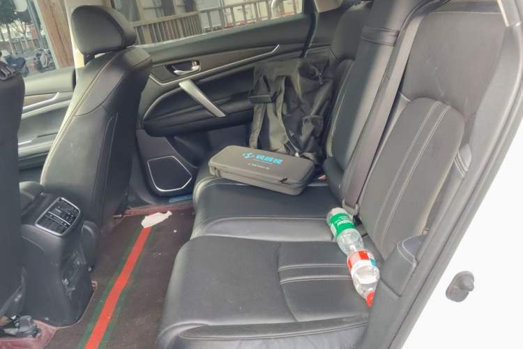Used Honda Avancier 2020 240TURBO Two-Wheel Drive Comfort Edition Left Rear Seat