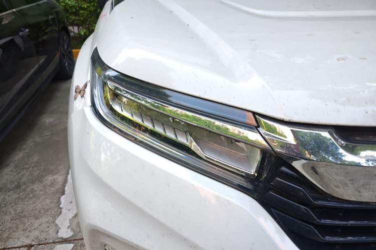 Used Honda Avancier 2020 240TURBO Front-Wheel Drive Smart Edition Right Front Headlight