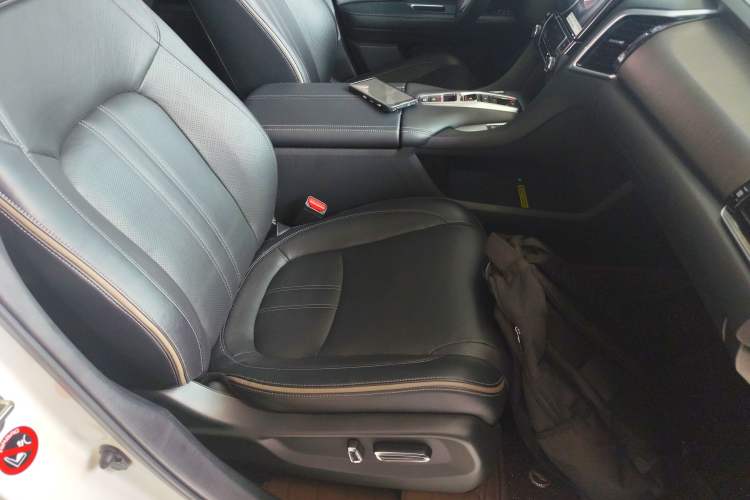 Used Honda Avancier 2020 370TURBO Four-Wheel Drive Premium Edition Right Front Seat
