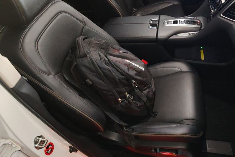 Used Honda Avancier 2020 370TURBO Four-Wheel Drive Premium Edition Right Front Seat