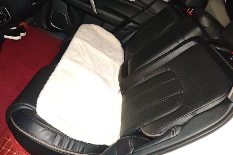 Used Honda Avancier 2023 370TURBO Four-Wheel Drive Luxury Edition Left Rear Seat