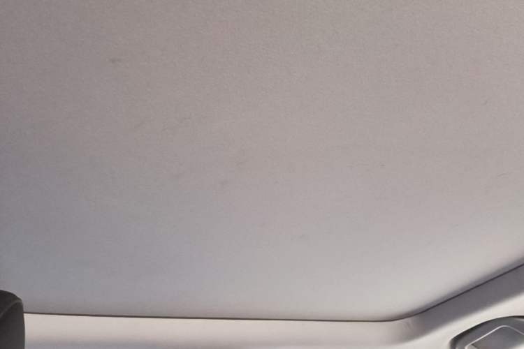 Used Honda Breeze 2020 240TURBO CVT Two-Wheel Drive Prestige Edition Headliner