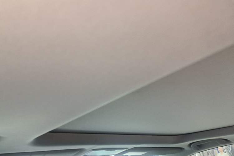 Used Honda Breeze 2020 240TURBO CVT 2WD Elite Edition Headliner