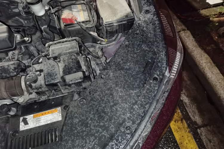 Used Honda Breeze 2020 240TURBO CVT 2WD Elite Edition Engine Bay Left