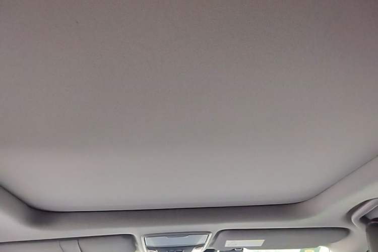 Used Honda Breeze 2020 240TURBO CVT 2WD Luxury Edition Headliner