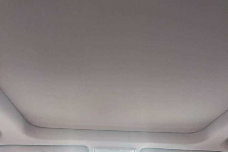 Used Honda Breeze 2020 240TURBO CVT 2WD Elite Edition Headliner