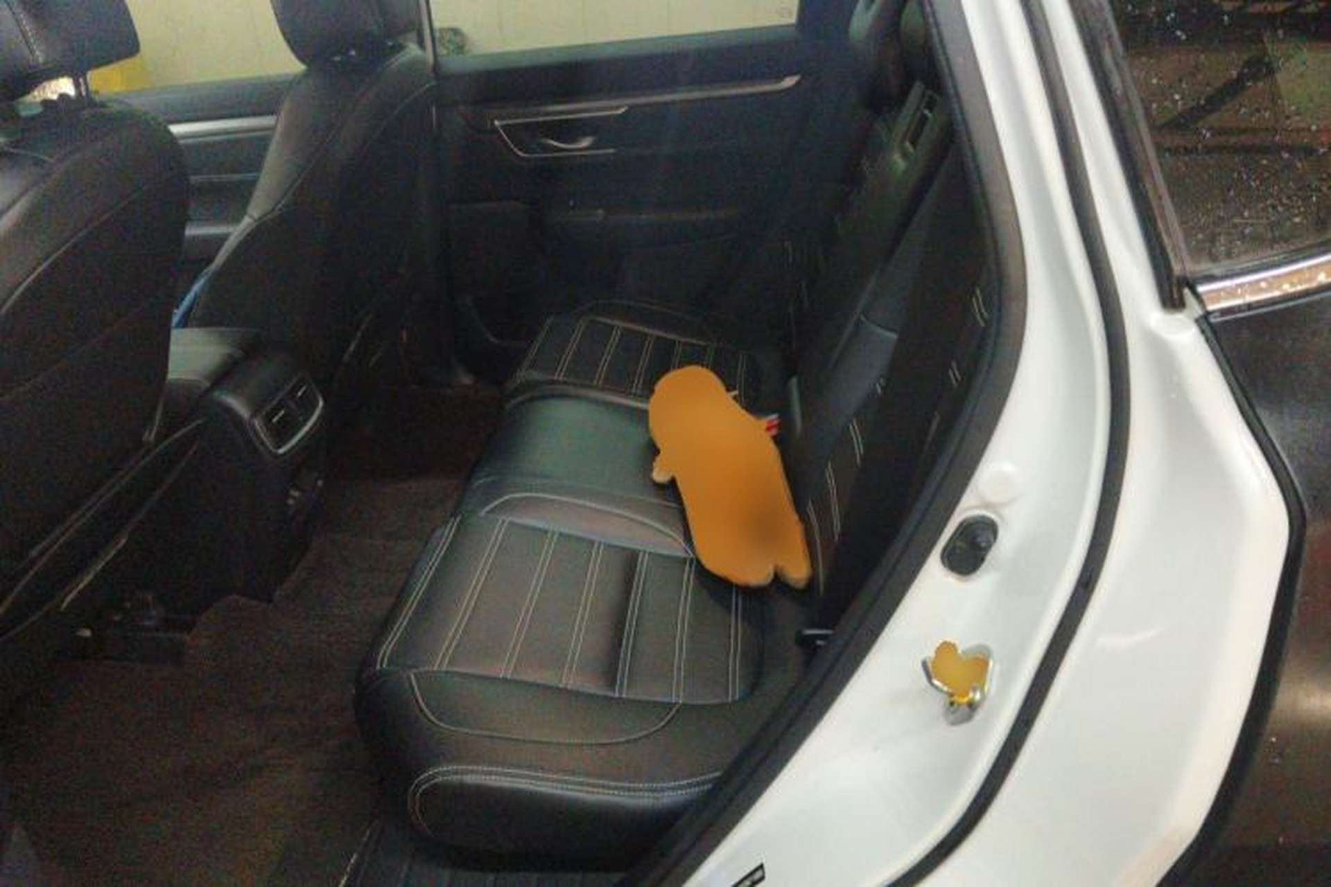 Used Honda Breeze 2021 240TURBO CVT Front-Wheel Drive Elite Edition Left Rear Seat