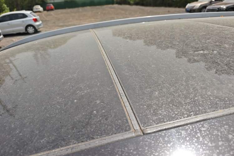 Used Honda Breeze 2021 240TURBO CVT Front-Wheel Drive Elite Edition Roof
