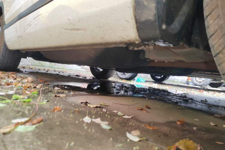 Used Honda Breeze 2021 240TURBO CVT Two-Wheel Drive Smart Enjoyment Version Chassis Front Right