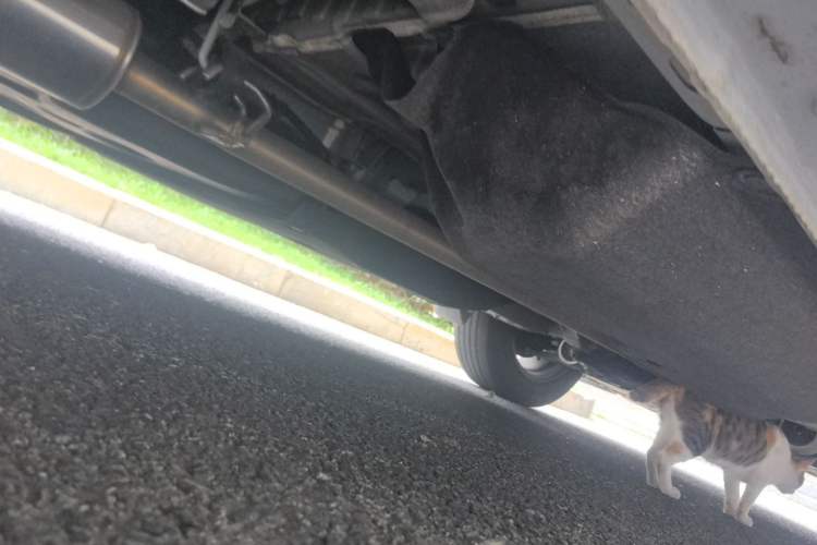 Used Honda Breeze 2021 240TURBO CVT 2WD Prestige Edition Chassis Rear Right