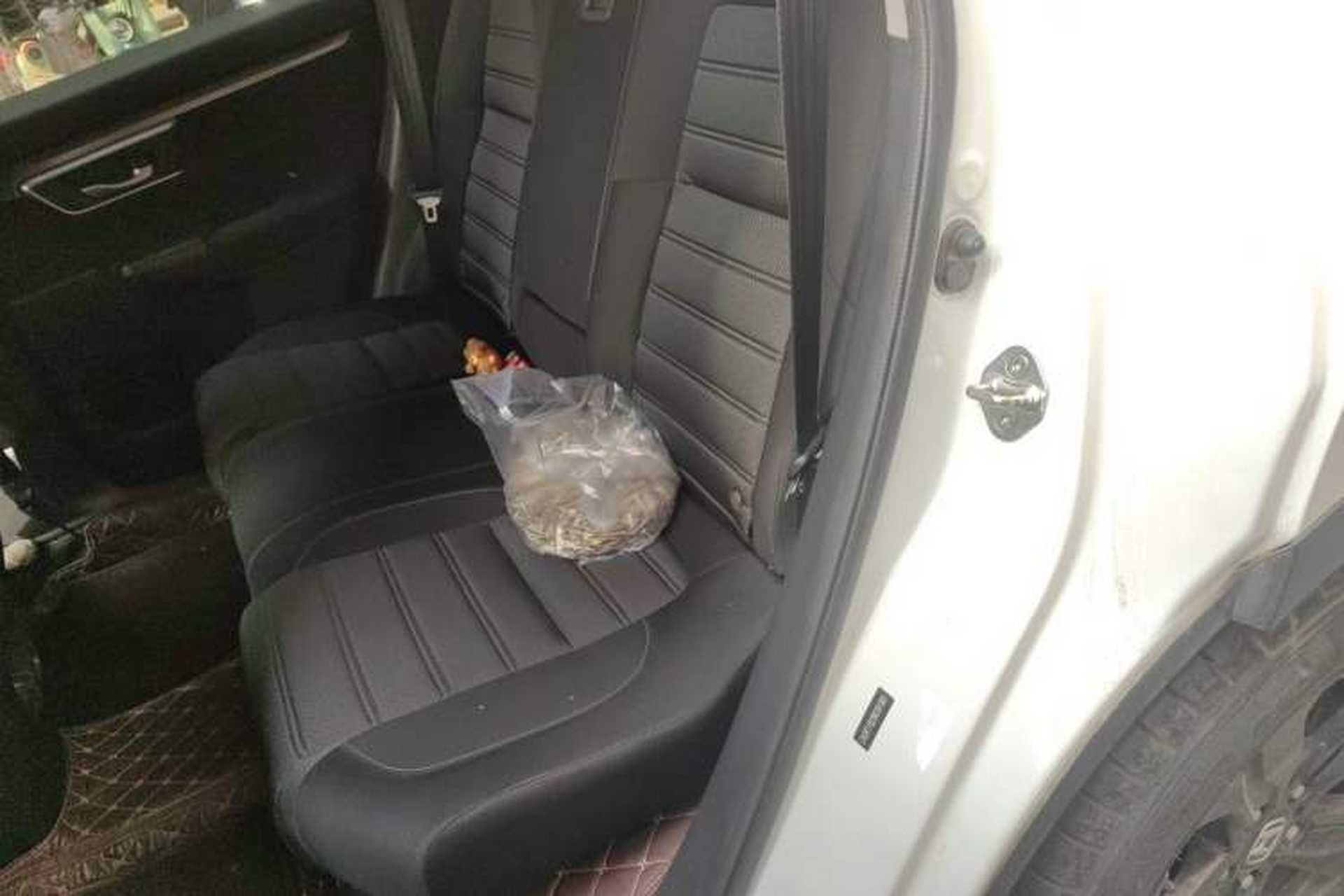Used Honda Breeze 2021 240TURBO CVT Front-Wheel Drive Elite Edition Left Rear Seat