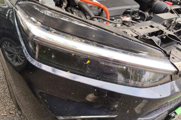 Used Honda Breeze New Energy 2023 ePHEV Ultimate Edition Right Front Headlight