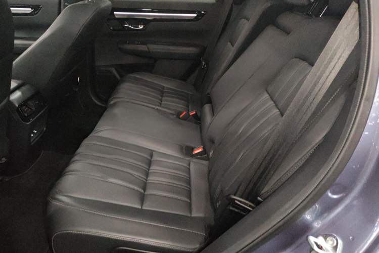 Used Honda Breeze New Energy 2023 ePHEV Ultimate Edition Left Rear Seat