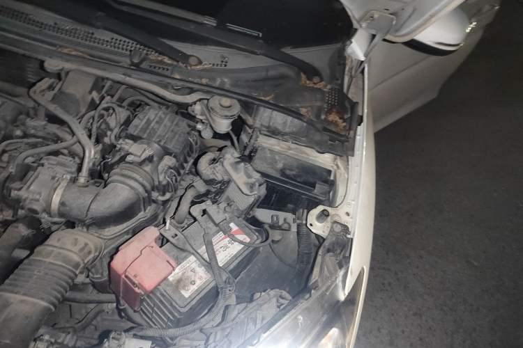 Used Honda City 2015 1.5L CVT Comfort Version Engine Bay Left