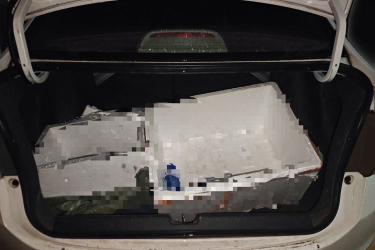 Used Honda City 2015 1.5L manual Comfort version Trunk