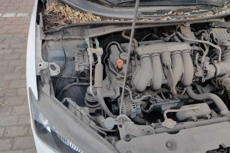 Used Honda City 2017 1.5L CVT Elite Edition Engine Bay Right