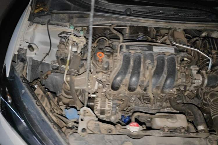 Used Honda City 2017 1.5L CVT Elite Edition Engine Bay Right