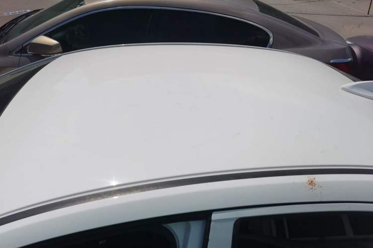 Used Honda City 2019 1.5L CVT Dynamic Edition Roof