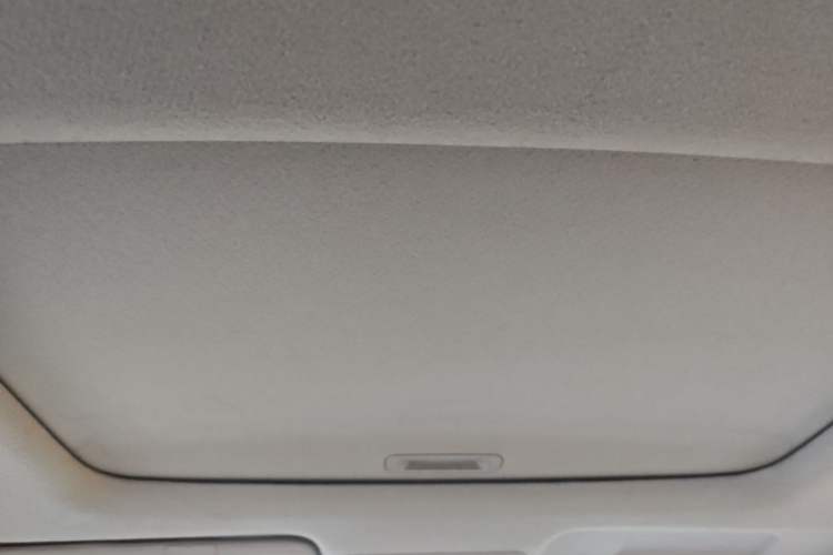 Used Honda City Classic 2008 1.5L Automatic Elite Edition Headliner