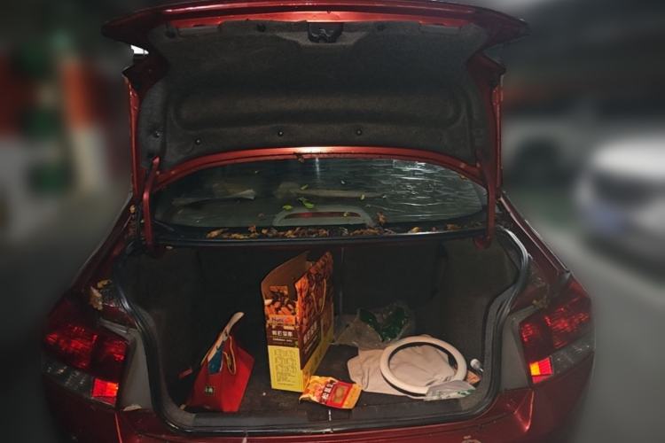 Used Honda City Classic 2008 1.5L Automatic Elite Edition Trunk