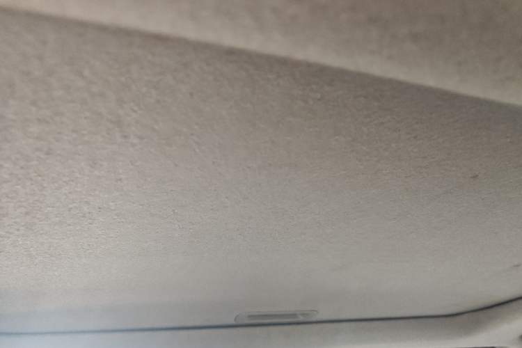 Used Honda City Classic 2008 1.5L Automatic Elite Edition Headliner