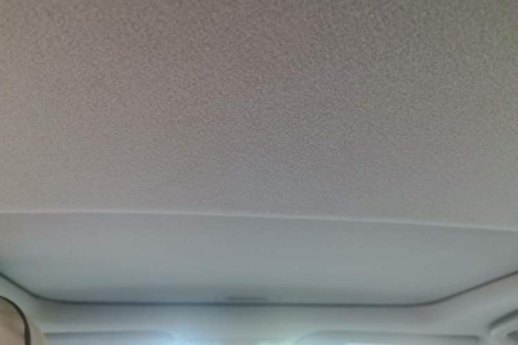 Used Honda City Classic 2008 1.5L Automatic Elite Edition Headliner