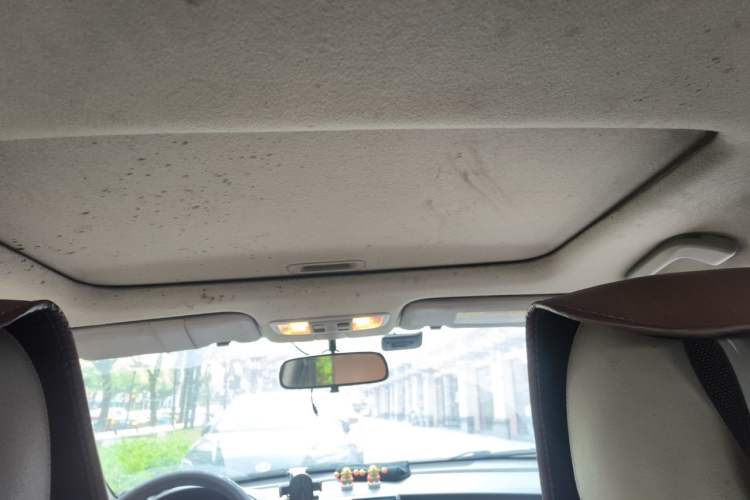 Used Honda City Classic 2011 1.5L Automatic Elite Edition Headliner