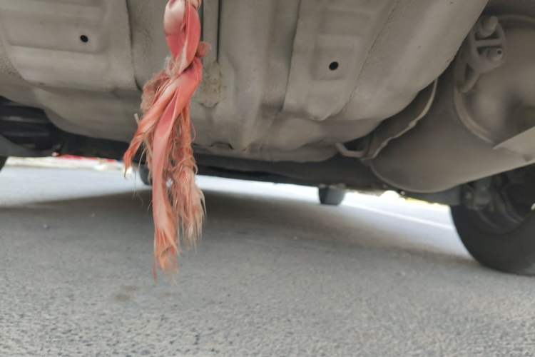 Used Honda City Classic 2012 1.5L manual Comfort version Chassis Rear