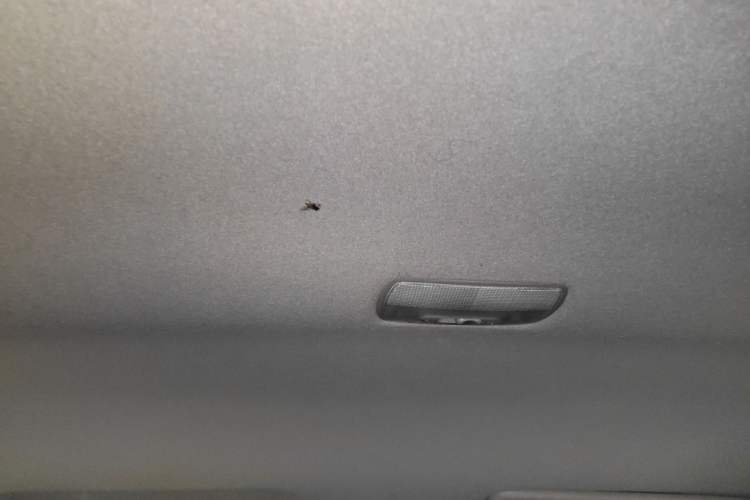 Used Honda City Classic 2012 1.5L manual Comfort version Headliner