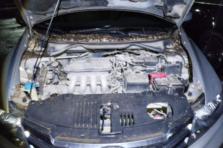 Used Honda City Classic 2014 Style 1.5L Automatic Elite Edition Engine Bay