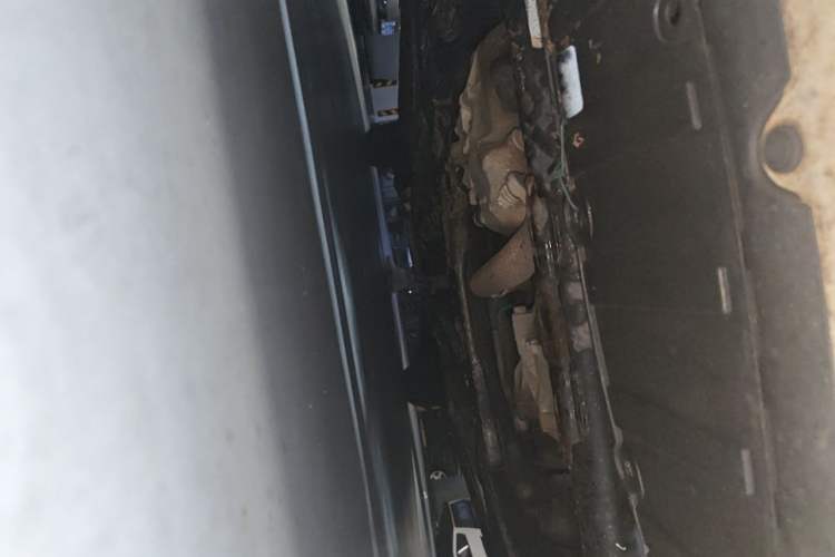Used Honda Civic 2009 1.8L manual comfort version Chassis Front