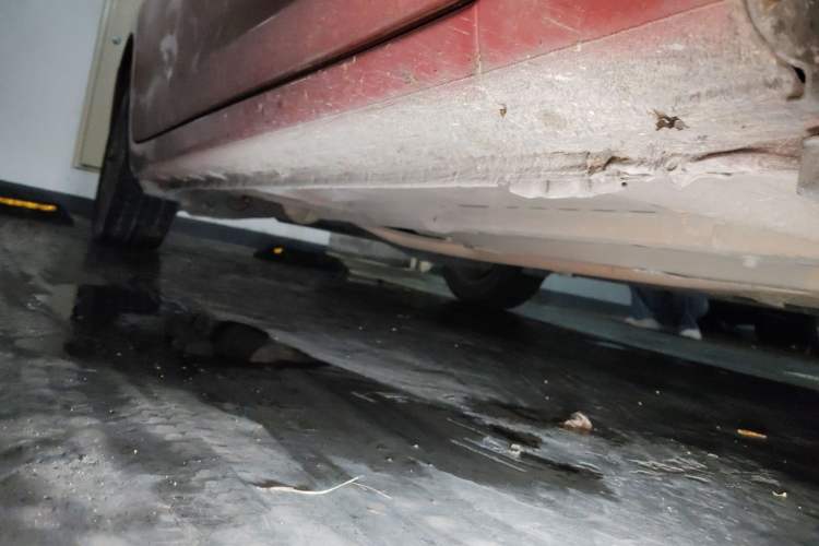Used Honda Civic 2014 1.8L Automatic Classic Edition Chassis Front Right