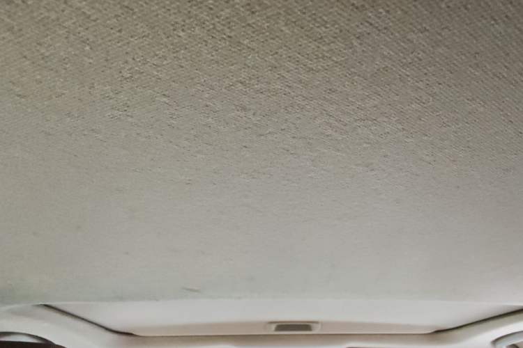 Used Honda Civic 2016 220TURBO CVT Luxury Edition Headliner
